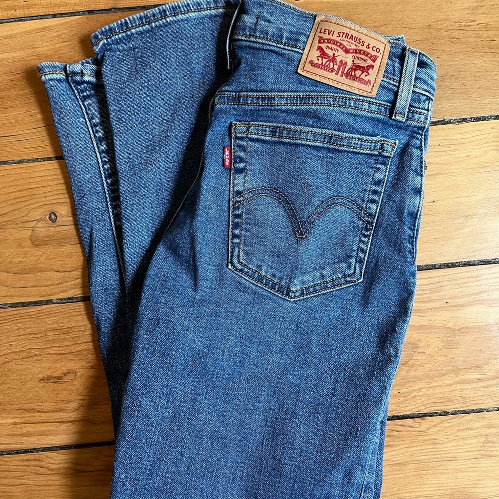 Levi's Blue Denim Jeans wedgie straight